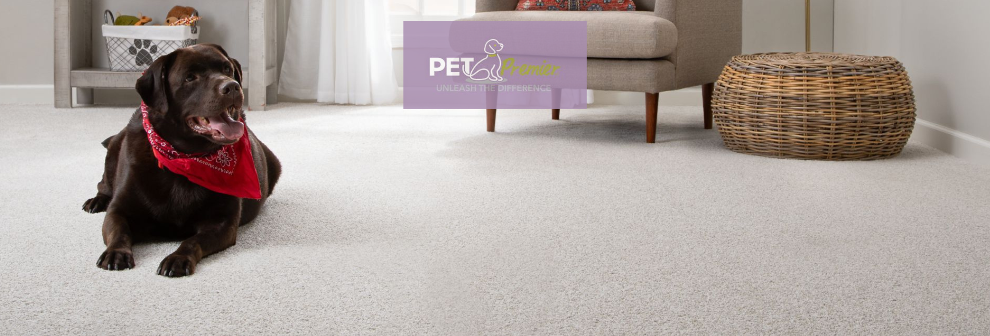 Browse Mohawk PetPremier products for Pet-Friendly, Sustainable Carpet