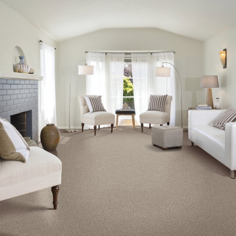 The Carpet Man providing stain-resistant pet proof carpet in servicing the Lakeport, and Clearlake, CA areas Tonal Chic I - Corinthian