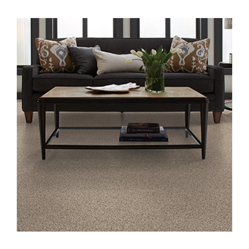 Creative Elegance carpet available from The Carpet Man in Lakeport, and Clearlake, CA