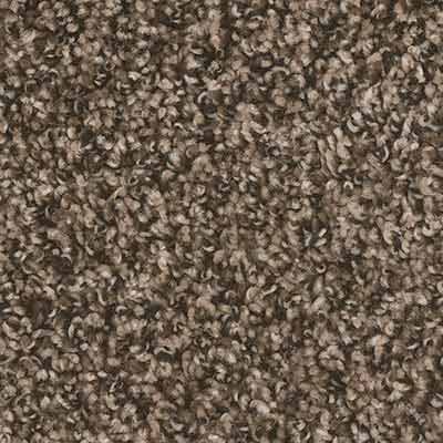 Signature Style textured polyester, 35 oz. face weight, 12 ft. width